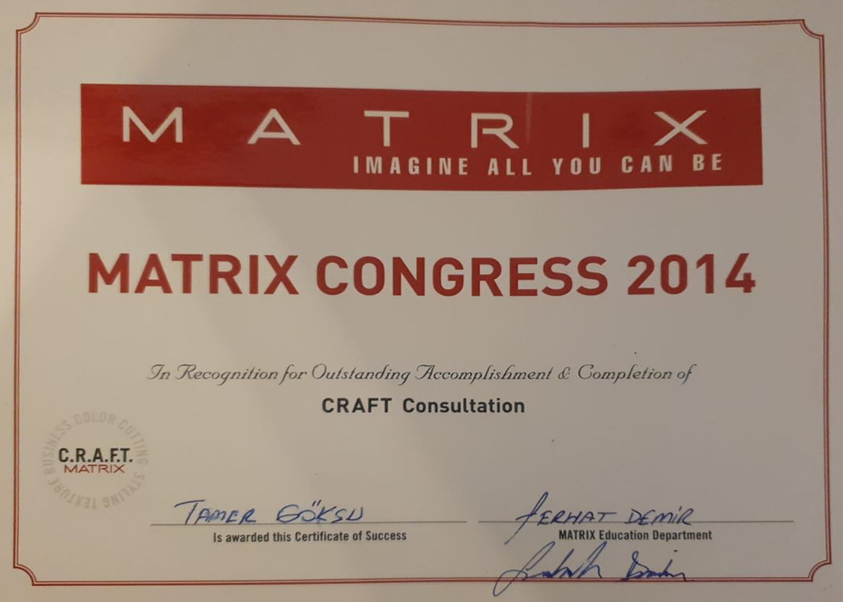 Matrıx Congress 2014